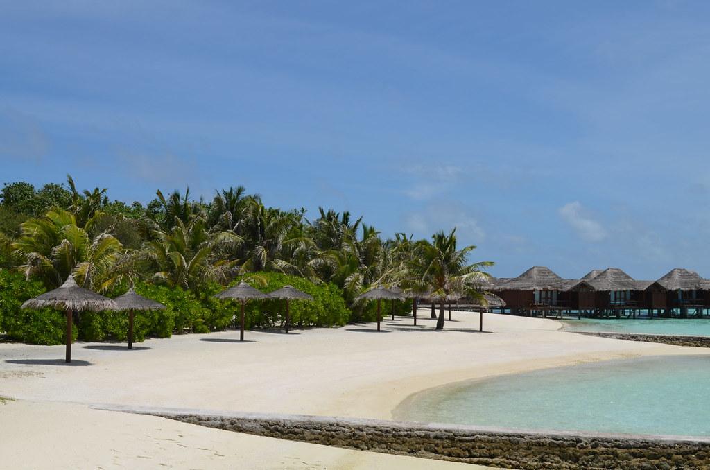 white sand beach and cottages