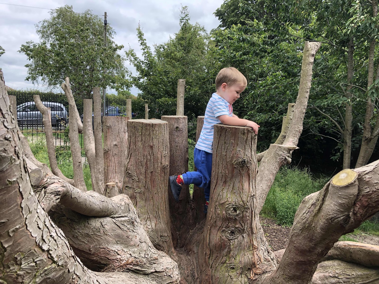 Climbing tree stumps