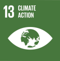 The logo for SDG 13.