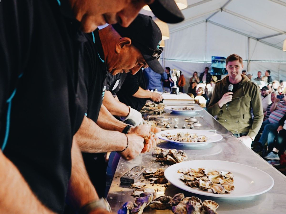 All You Need to Know About the Oyster Festival in Narooma DIY Daddy