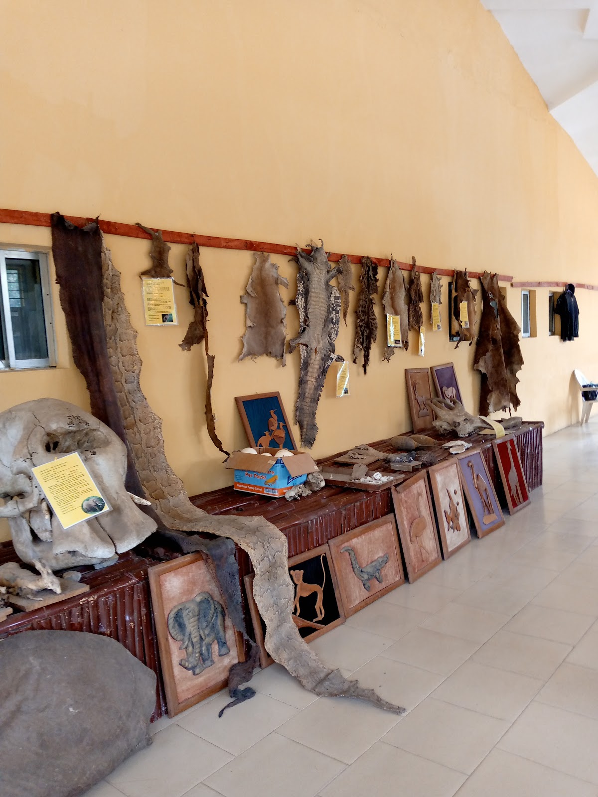 Museum, Old Oyo National Park Headquarters