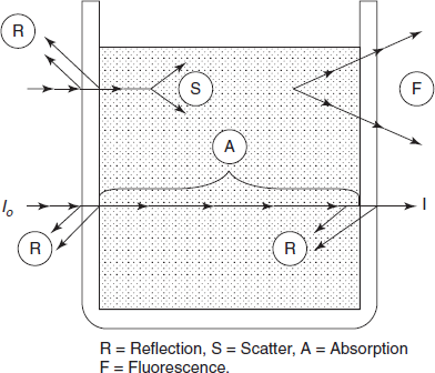 Components of total attenuation process