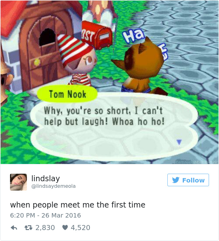 A screenshot of an interaction in the video game Animal Crossing where one character says to the other: " why, you're so short, I can't help but laugh!"