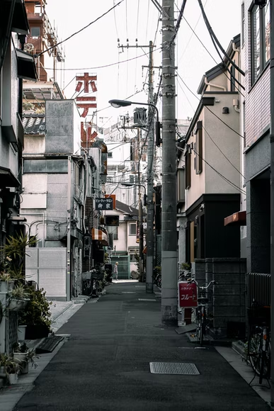 <strong>Why Are Japanese Roads So Narrow? (Quick Facts)</strong>