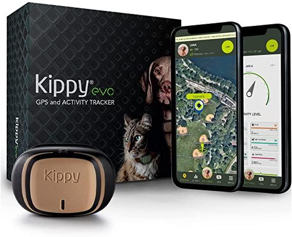 Kippy Evo GPS collar for dogs