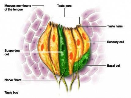 download practice of intramedullary locked nails new developments in techniques and