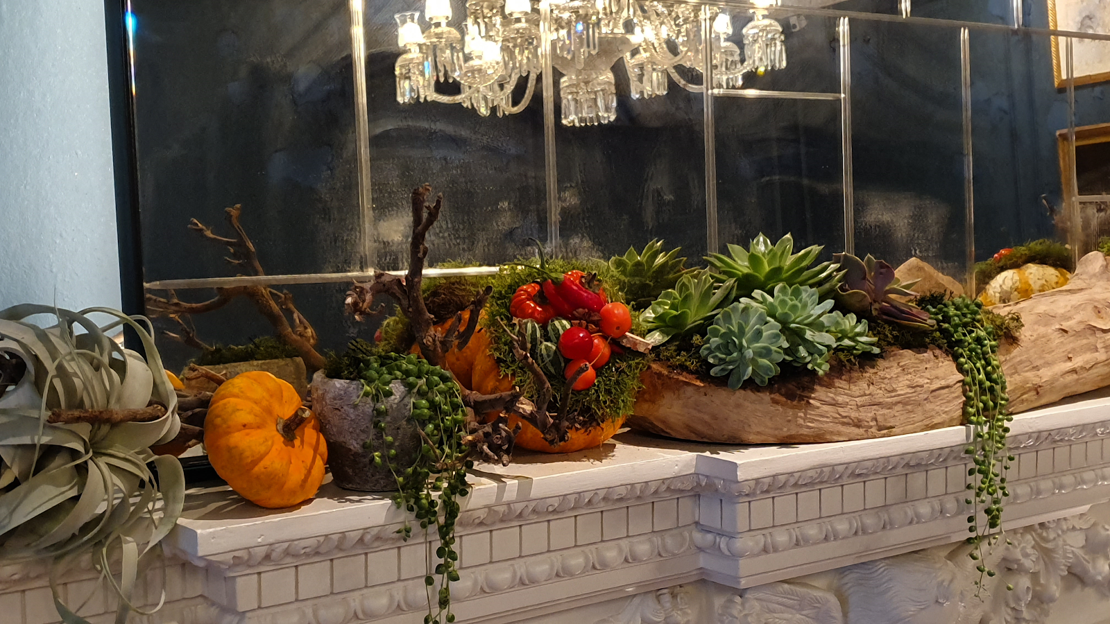 A succulent pumpkin mantelpiece flower arrangement by Kimberleys The Florist