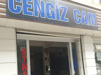 Cengiz Cam