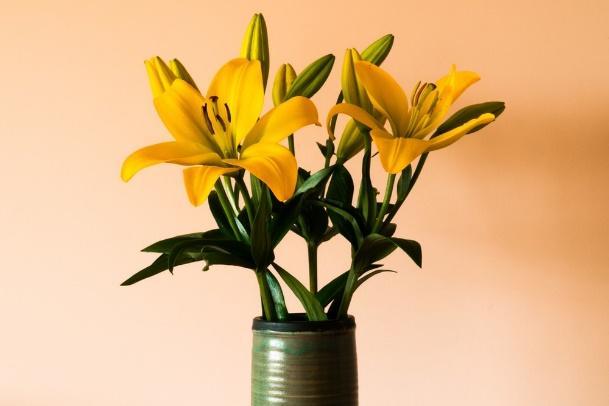 yellow flowers in blue ceramic vase