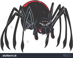 Image result for cartoon spider