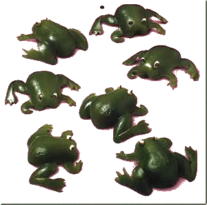 SOS - Green Pepper Frogs.gif