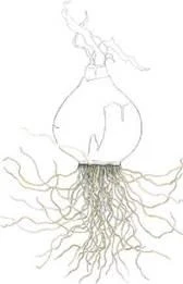 D:\0 wd yedek\acr yedek\1 film indirme\botanicheskaya_illyustraciya2_files\image178.jpg