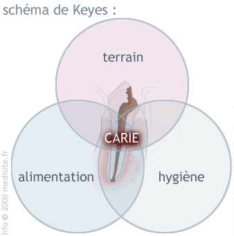 Cariologie