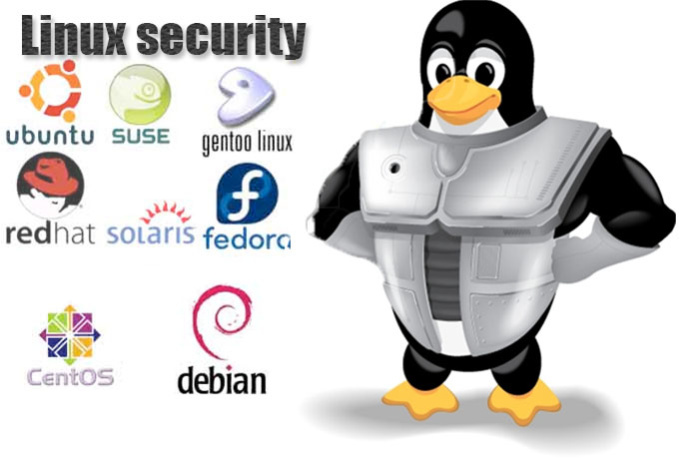 Every Linux distribution features outstanding system security