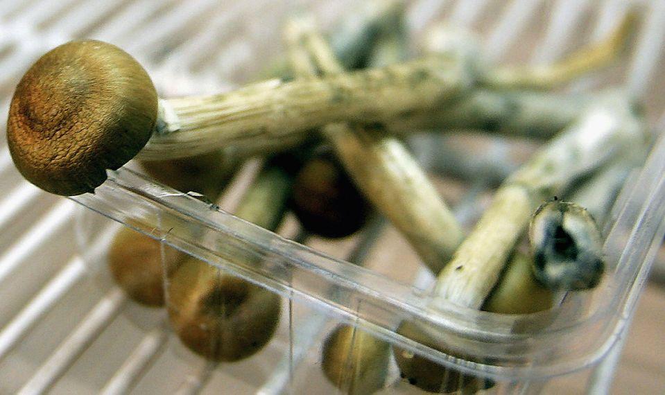 Vancouver 'shroom dispensary selling microdoses online