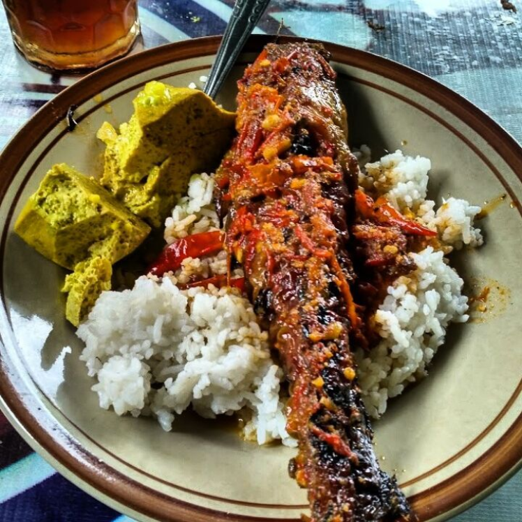 Mangut lele