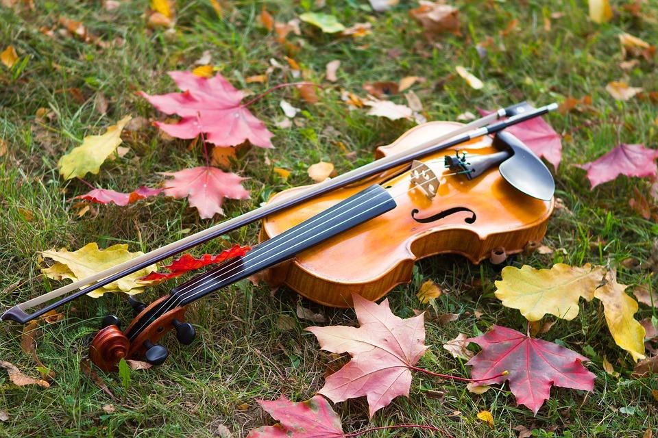 Autumn, Violin, Musical Instrument, Mood, Grass