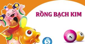 Giới thiệu về soi cầu rồng bạch kim 888