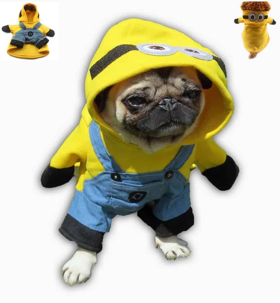 Coisas para cachorro