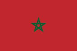 Image result for moroccan flag