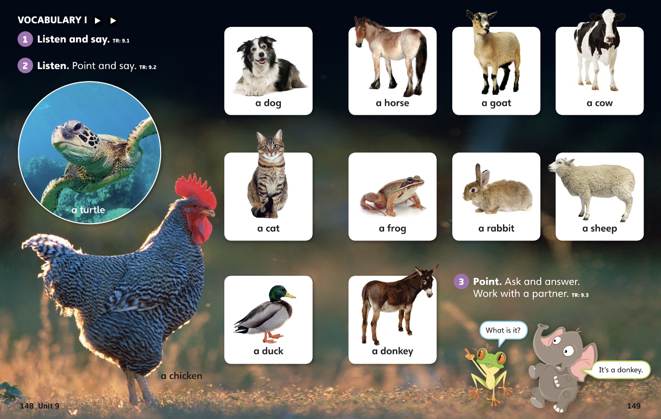 Giáo trình tiếng Anh cơ bản Apollo English Unit 9: Từ vựng
