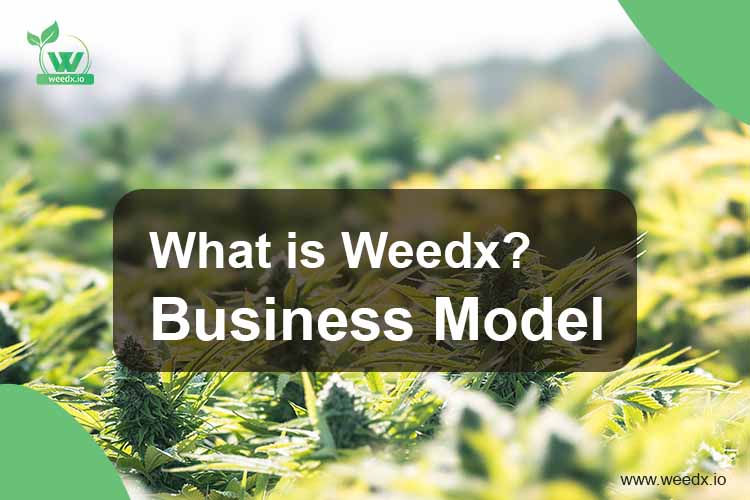 What is Weedx?- Business Model