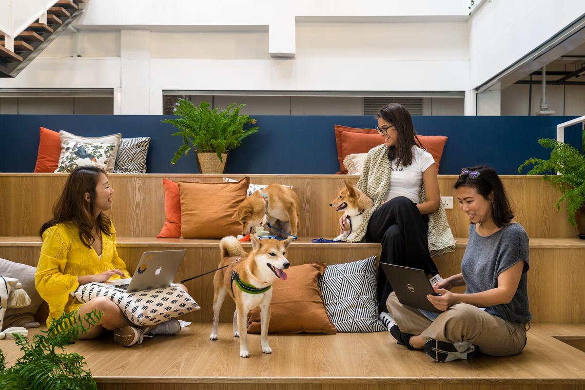 Drive at district Dog Friendly Coworking Space