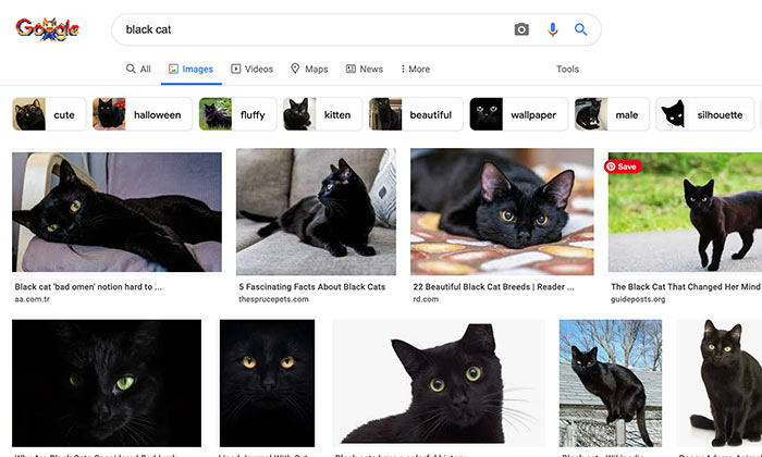 วิธีใช้ Google Advanced Image Search - ไปที่ images.google.com