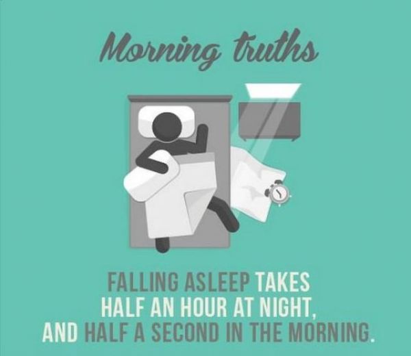 Morning True Facts