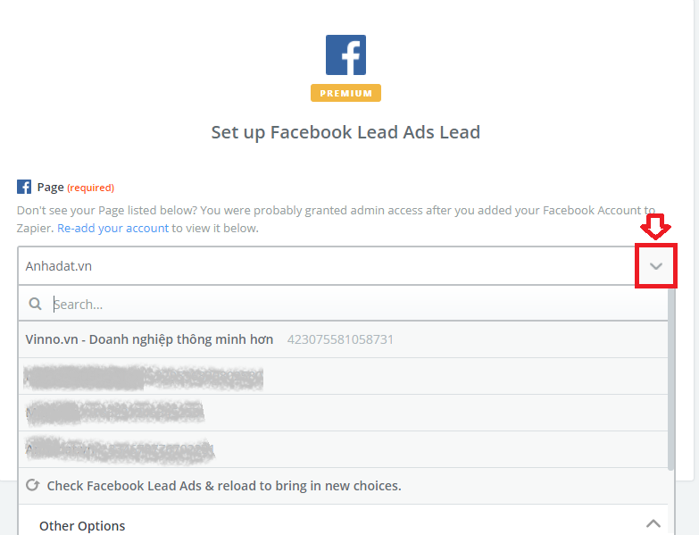 Facebook Lead