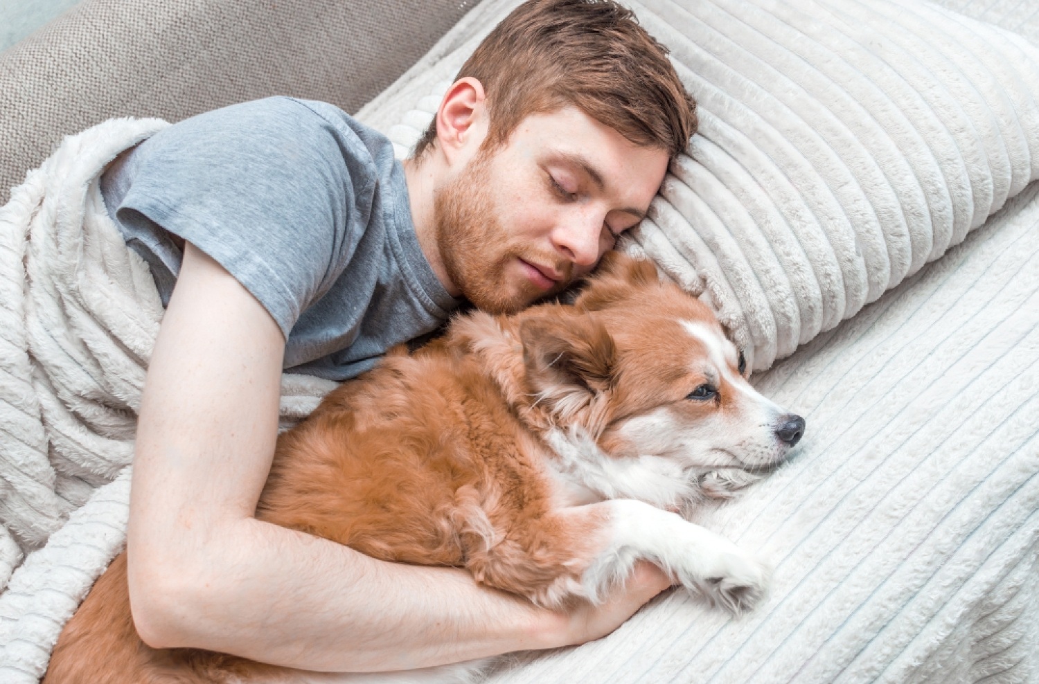 Why Does My Dog Sleep On Top Of Me? 12 Reasons Why 3 SDV9gfyZrP5TB