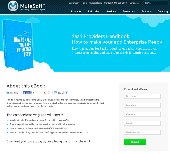 MuleSoft Screenshot