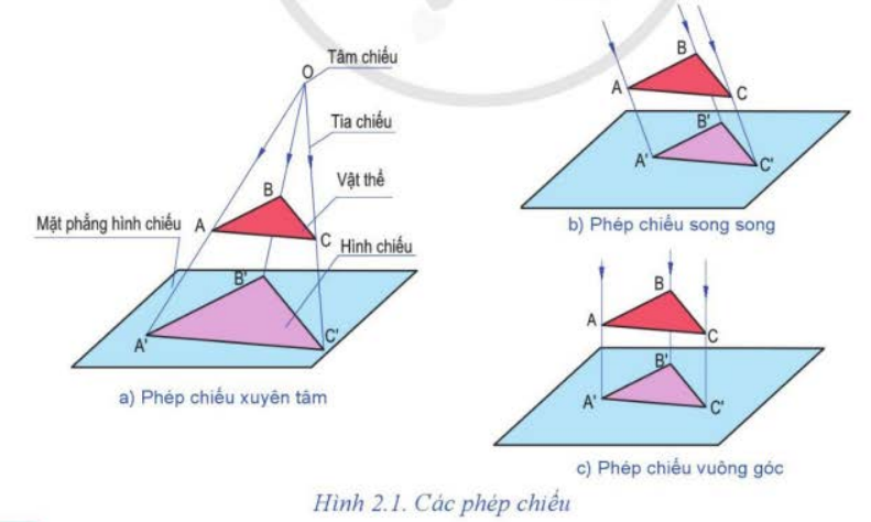 A diagram of different angles</p>
<p>Description automatically generated
