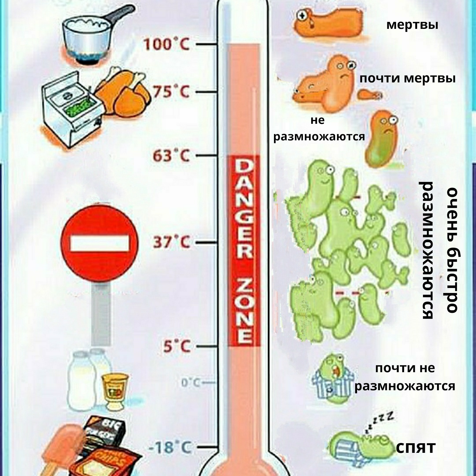 Опасная температура воды. Влияние температуры на микроорганизмы. Влияние температуры на бактерии. Влияние низких температур на микроорганизмы. Влияние температуры на размножение бактерий.