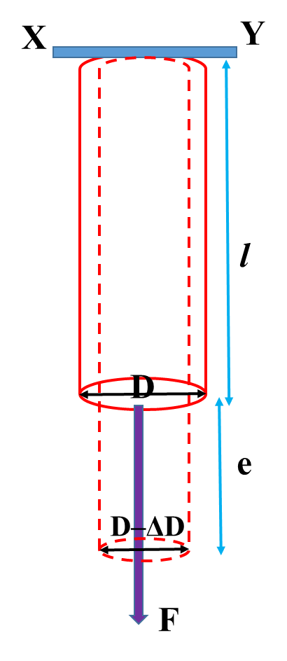 elasticity notes class 11