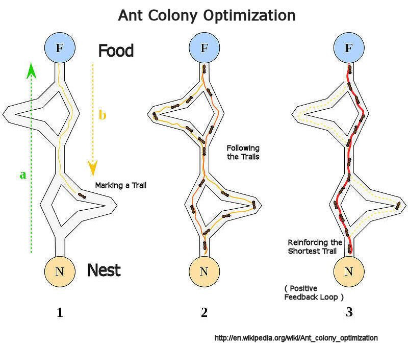 An infographic that shows how ant colony optimization happens.