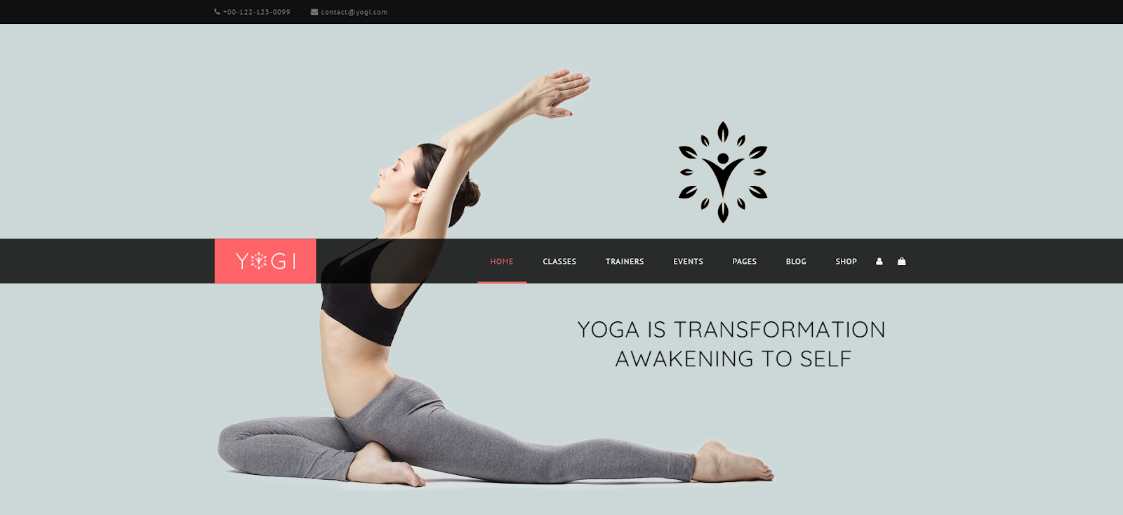 Yogi WordPress Theme