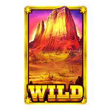 Symbole wild, buffalo king, casino slot