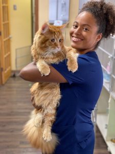 Grenada vet student Brittney Kilgore and a Maine Coon!