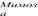 https://docs.google.com/drawings/d/sloORh3EKLLoURp-_kZwUoA/image?parent=e/2PACX-1vRwcpPocEMEH0n_FhlbfxG0YhCTPvmeWh4EmPCzKQPoBPUyS-JJP5BxJ2CJ-BOUtg&rev=1&drawingRevisionAccessToken=AL88XTtTVeW9bw&h=28&w=66&ac=1