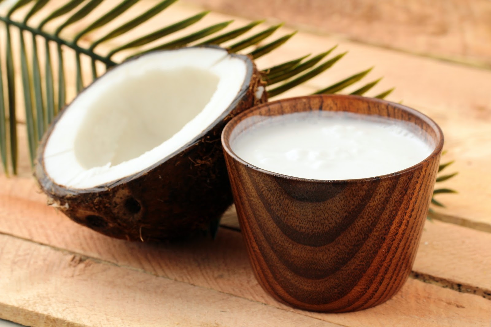 Coconut and coconut milk with palm branch