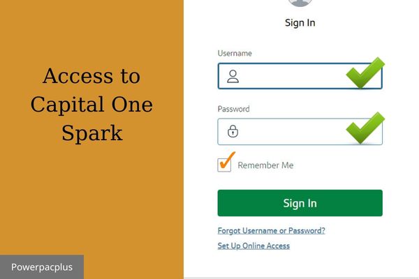 access to capital one spark
