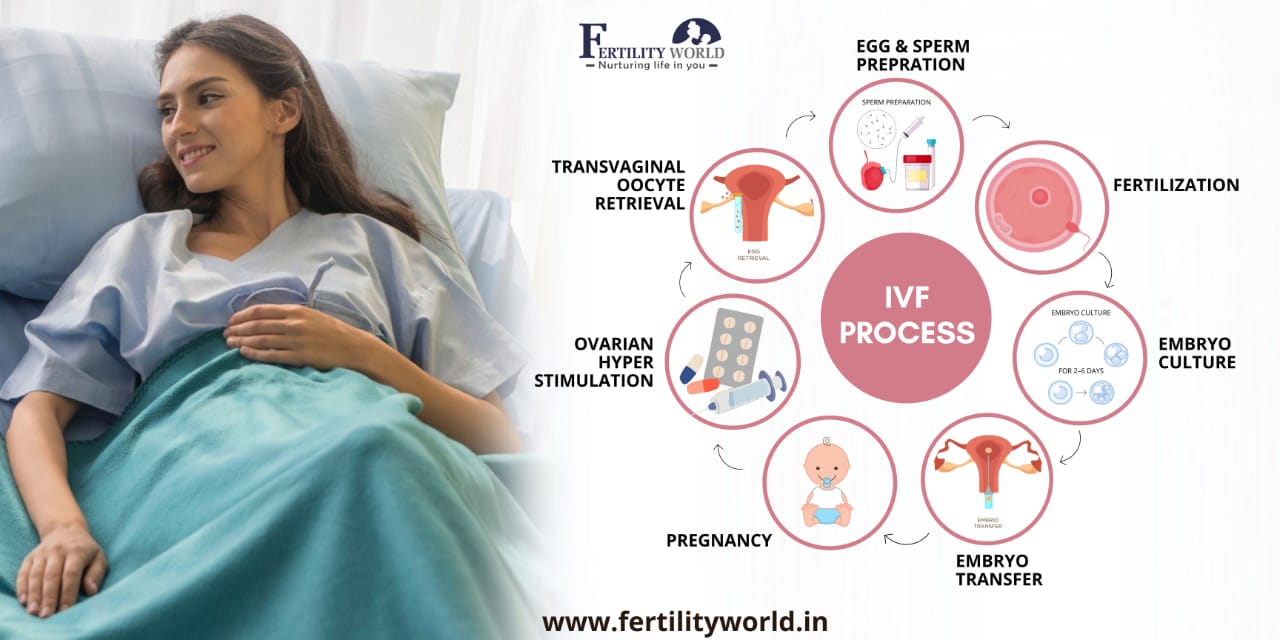 Process of in-vitro fertilization (IVF)