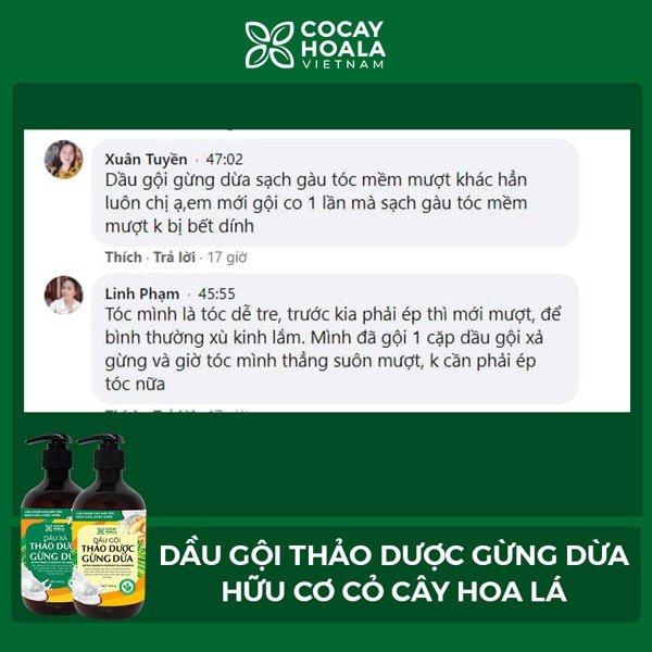 Phản hồi, Đánh giá của khách hàng về dầu gội thảo dược gừng dừa hữu cơ Cỏ Cây HoaLá