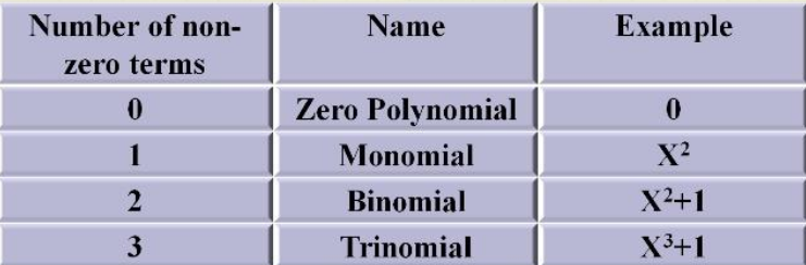 Types of polynomials on the basis of the number of terms