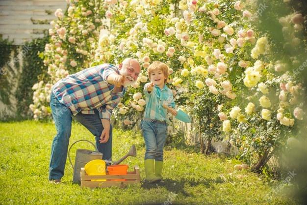 Premium Photo | Father and son grows flowers together gardening hobby farm  family spring and hobbies