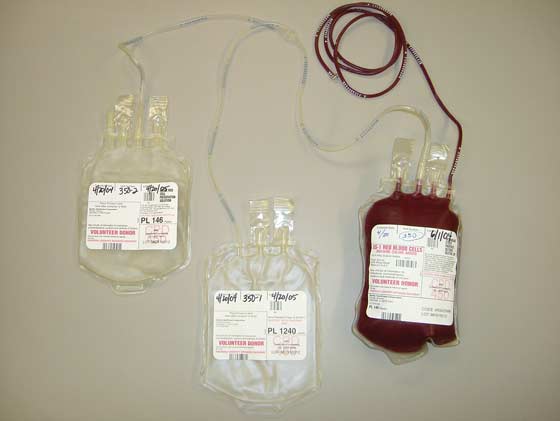 Blood collection system