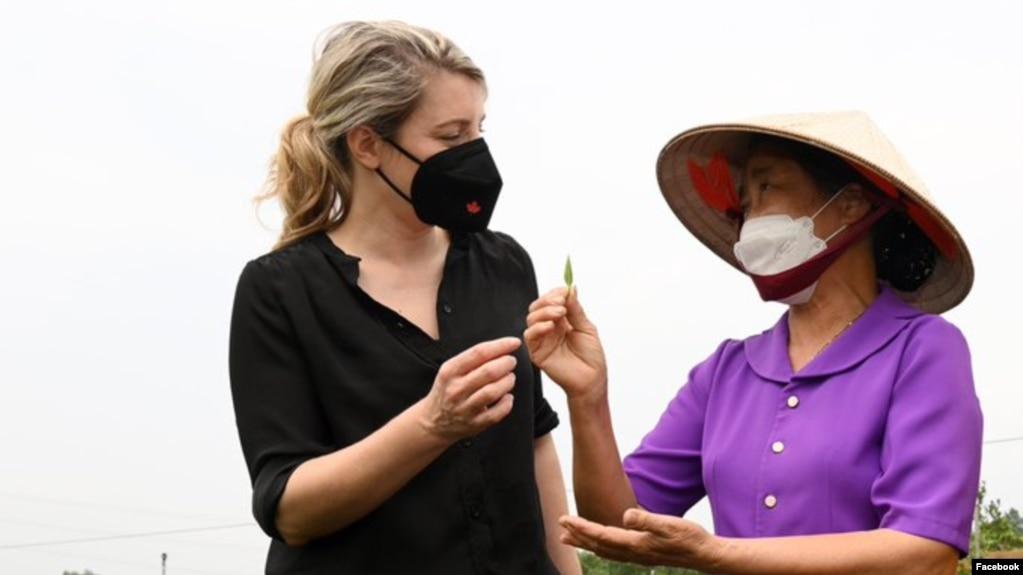 Ngoại trưởng Canada Melanie Joly trao đổi với một nữ nông dân trồng trà ở Việt Nam. Photo Facebook Embassy of Canada to Vietnam.