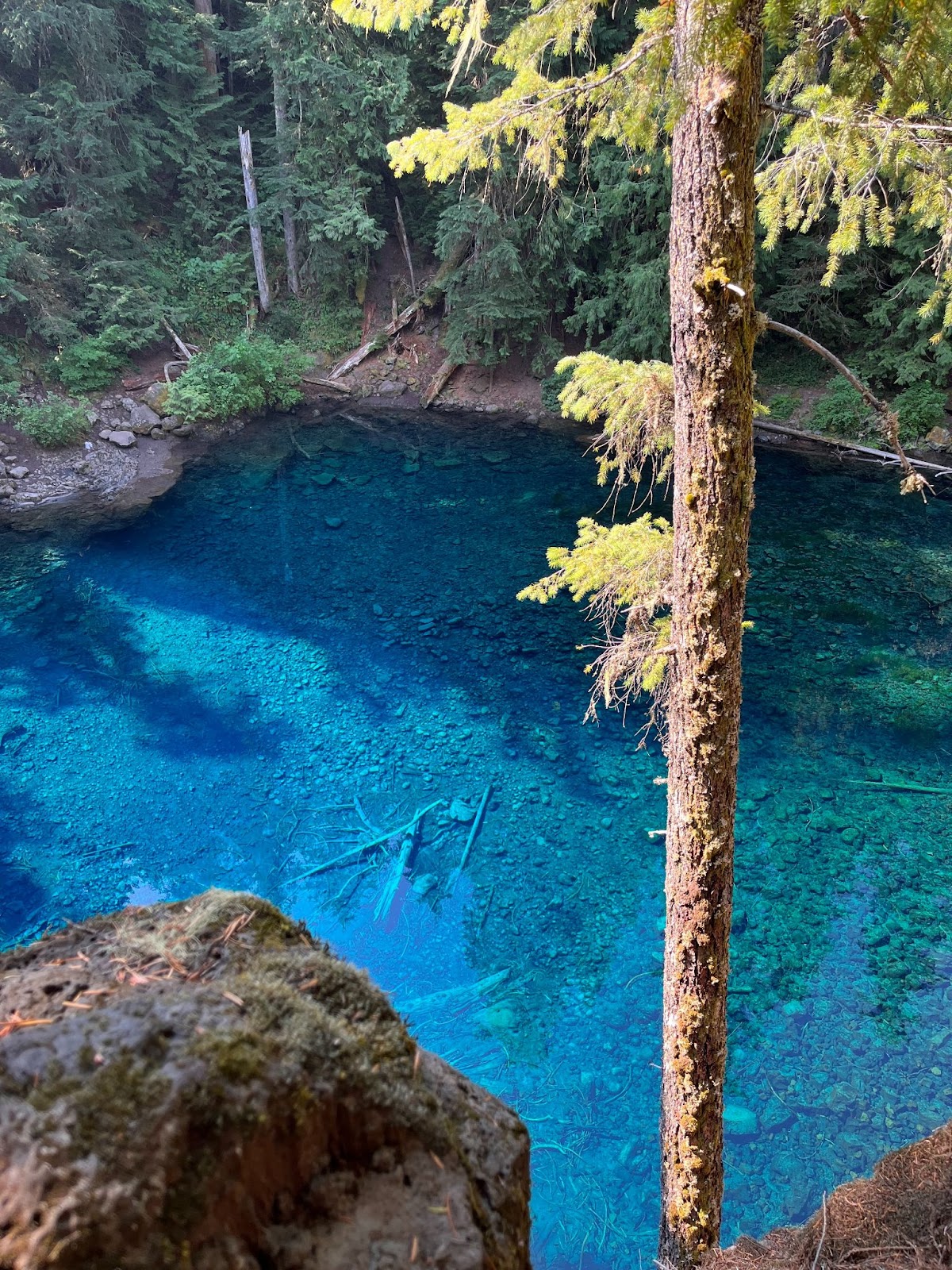 Tamolitch Falls Blue Pool