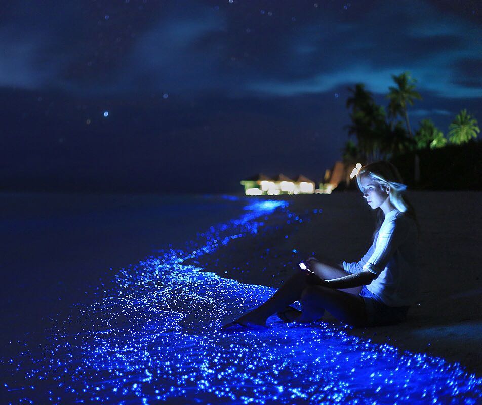 The Sea of Stars in the Maldives